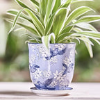 CHIVE ‘Liberte’ Ceramic Succulent Pots — 4.25” Cute Vintage Farmhouse Style Planters for Indoor Plants — Beautiful Home & Kitchen Decor — Blue Swallows