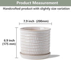 8 Inch Plant Pot: Ceramic Planter with Drainage Hole & Saucer - Cream White Flowerpot for Indoor & Outdoor Plants - with Separate Tray for Home & Office - Wave Embossed Design