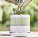 CHIVE ‘Minute’ Ceramic Planter Pot — Cute 5” Colorful Succulent Pots for Indoor & Outdoor House Plants — Beautiful Modern Farmhouse Kitchen Decor — Green Cement