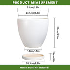 Ceramic Planter - 10 Inch Plant Pot with Drainage Hole and Tray, Flower Pot Planters for Indoor Plants, Modern Room Garden Patio Bathroom Living Room Porch Home Decor， White