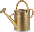 1 Gallon Watering Can for Plants, Watering Cans for Indoor&Outdoor Gardening, Galvanized Steel Watering Pot with Removable Spout, Metal Water Can with Ergonomic Movable Handle(Gold)