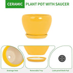 Deep Dream 6 Inch Plant Pots- Ceramic Planter Pot with Drainage Hole and Saucer, Round Flower Pot for Indoor Outdoor Succulent, Snake Plants and Cactus, Yellow