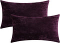 Jeneoo Plum Purple Decorative Throw Pillow Covers Soft Chenille Comfy Lumbar Couch Cushion Cases for Living Room Sofa Decor (Set of 2, 12 x 20 Inches)