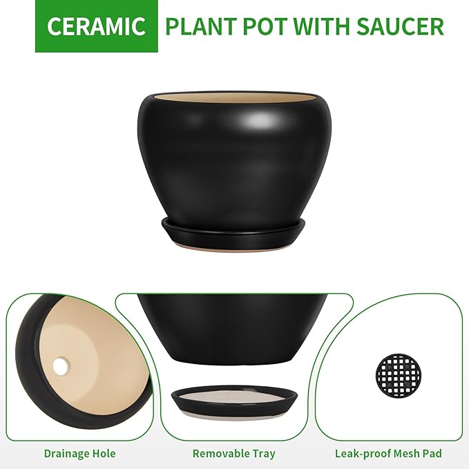 Deep Dream 8 Inch Plant Pot - Ceramic Pots for Plants with Drainage Hole and Trays, Modern Round Flower Pot, Planters for Indoor Outdoor Plants, Home Garden Decor, Black