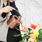 Remiawy Watering Can Indoor Outdoor Stainless Steel Watering Cans for House Plants Long Spout Water Can for Succulent Bonsai Garden Flower(40oz/1300ml)