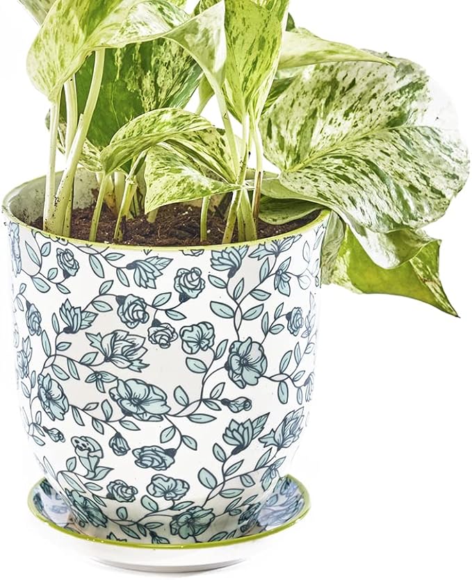 CHIVE ‘Liberte’ Ceramic Succulent Pots — 4.25” Cute Vintage Farmhouse Style Planters for Indoor Plants — Beautiful Home & Kitchen Decor — Green Flowers