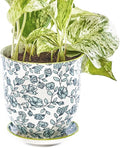 CHIVE ‘Liberte’ Ceramic Succulent Pots — 4.25” Cute Vintage Farmhouse Style Planters for Indoor Plants — Beautiful Home & Kitchen Decor — Green Flowers