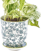 CHIVE ‘Liberte’ Ceramic Succulent Pots — 4.25” Cute Vintage Farmhouse Style Planters for Indoor Plants — Beautiful Home & Kitchen Decor — Green Flowers