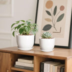 6.7 + 5.5 Inch Plant Pot, Ceramic Planter with Drainage and Saucer, Ceramic Pots for Plants, Indoor Plant pots,Succulent Pot Orchid Pots(Smooth White,Plant Pot Only)