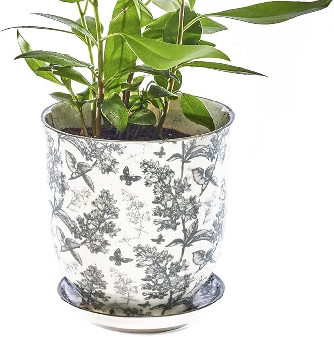 CHIVE ‘Liberte’ Ceramic Succulent Pots — 4.25” Cute Vintage Farmhouse Style Planters for Indoor Plants — Beautiful Home & Kitchen Decor — Grey Forest