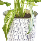 CHIVE ‘Liberte’ Ceramic Succulent Pots — 4.25” Cute Vintage Farmhouse Style Planters for Indoor Plants — Beautiful Home & Kitchen Decor — Blue Feathers