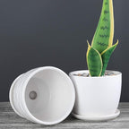 Plant Pots - 4.7 Inch Cylinder Ceramic Planters with Connected Saucer, Pots for Succuelnt and Little Snake Plants, Set of 4, White