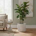Aveyas 10 inch Ceramic Planter Pot with Drainage Hole and Saucer - Suitable for Indoor and Outdoor Use, Modern Planters for House Garden Flower Tree Snake Monstera Plants (10", Glossy White)