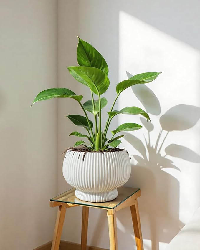OXART 9.4 Inch Plant Pots, Ceramic Planters for Indoor Plants, Outdoor Flower Pots for Plants with Drainage Holes, Decorative Pot for Flowers & Herbs, No Trays, White