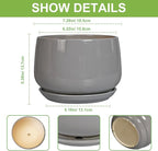 G EPGardening Modern Ceramic Planter - 7 Inch Round Modern Plant Pot Indoor with Drainage and Ceramic Tray Indoor Outdoor for Flower, Vanity Decor, Birthday Gifts, Grey