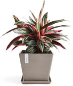 Ecopots Rotterdam Durable Modern Square Indoor/Outdoor Recycled-Based Composite Flower Planter, Taupe, 15.75"