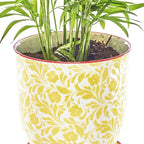 CHIVE ‘Liberte’ Ceramic Succulent Pots — 4.25” Cute Vintage Farmhouse Style Planters for Indoor Plants — Beautiful Home & Kitchen Decor — Yellow Leaves