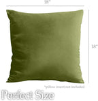 lalaLOOM Velvet Throw Pillow Covers, Set of 2, 18x18 Decorative Square Pillows Home Decor, Soft Accent Cases, Silky Machine Washable Pillowcases for Sofa, Couch, Bedroom, Living Room, Moss Green