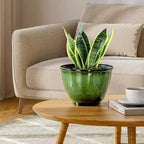 8 Inch Plastic Plant Pots, Set of 4 Flower Pots Planters with Drainage Hole, Glossy Smooth Finish Planter for Indoor Outdoor Succulent Snake Plants (Green)