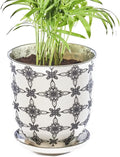 CHIVE ‘Liberte’ Ceramic Succulent Pots — 4.25” Cute Vintage Farmhouse Style Planters for Indoor Plants — Beautiful Home & Kitchen Decor — Black Stars