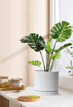 Aveyas 8 inch Ceramic Plant Pot with Drainage Hole and Saucer - Suitable for Indoor and Outdoor Use, Modern Planters for House Garden Flower Tree Snake Monstera Plants (8", Glossy White)