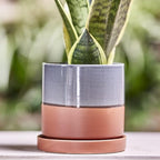 CHIVE ‘Minute’ Ceramic Planter Pot — Cute 5” Colorful Succulent Pots for Indoor & Outdoor House Plants — Beautiful Modern Farmhouse Kitchen Decor — Terracotta