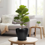 8 Inch Plant Pot - Ceraimc Planter for Indoor Outdoor Plants, Round Flower Pots with Drainage and Tray, House Decor, Black