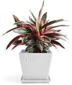 Ecopots Rotterdam Durable Modern Square Indoor/Outdoor Recycled-Based Composite Flower Planter, Pure White, 15.75"