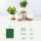 Hasense Small Plant Pot, 4.6 Inch Ceramic Succulent Flower Pots with Drainage Hole and Tray, White Indoor Planter Pot for Cactus, Gardening Home Desktop Office Windowsill Decoration Gift, Set of 4