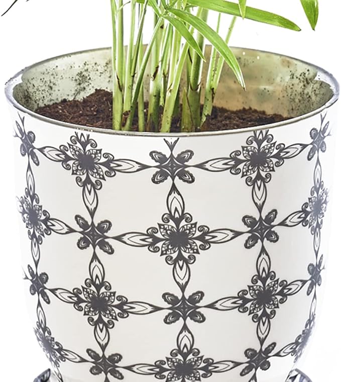 CHIVE ‘Liberte’ Ceramic Succulent Pots — 4.25” Cute Vintage Farmhouse Style Planters for Indoor Plants — Beautiful Home & Kitchen Decor — Black Stars
