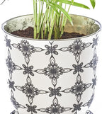 CHIVE ‘Liberte’ Ceramic Succulent Pots — 4.25” Cute Vintage Farmhouse Style Planters for Indoor Plants — Beautiful Home & Kitchen Decor — Black Stars