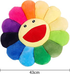 Smile Face Plush Rainbow Pillow, Sunflower Indie Decor Plush Pillow Soft & Comfortable Flower Floor Pillow for Home Reading Bed Room Decoration (Rainbow Color)