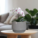 G EPGardening Modern Ceramic Planter - 7 Inch Round Modern Plant Pot Indoor with Drainage and Ceramic Tray Indoor Outdoor for Flower, Vanity Decor, Birthday Gifts, Grey