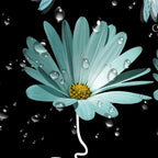 Rusitc Farmhouse Floral Balck White Teal Shower Curtain, Farm Country Daisy Flower Dragonfly and Faith Hope Love Inspirational Words Shower Curtain Set, Turquoise Yellow Bathroom Accessories, 70X70IN