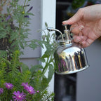 Sustainable Village 2 Pack Nickel Mister