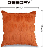 GEEORY Fall Pumpkins Soft Plush Pillow Covers, 16 x 16 Inch Set of 2, Fluffy Faux Fur Wool Decorative Farmhouse Cushion Case for Sofa Home Decoration Rust Pumpkin GC019-16