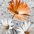 Rustic Farmhouse Orange Floral Shower Curtain, Farm Fall Daisy Flowers and Butterfly Shower Curtain for Bathroom, Country Yellow Red Gray Fabric Boho Shower Curtain with 12PCS Hooks, 36X70IN