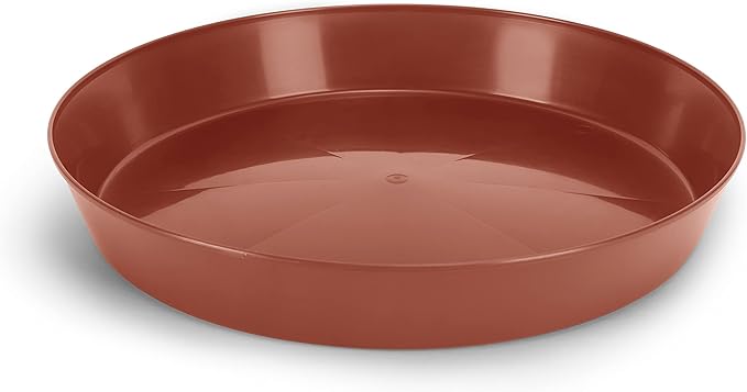 7 Inch (5.5 Inch Base) Single Plant Saucer - Terra Cotta Colored Polypropylene – Heavy Duty Indoor/Outdoor Tray and Drip Pan – Collects Flower Pot Excess Water Made in USA, AS7