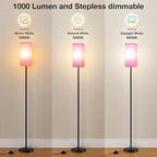 Ambimall Remote Control Floor Lamp, Stepless Dimmable, 64 Inches Tall, Include 9W Bulb, Standing Lamp for Living Room Bedroom Office (Pink & Black)