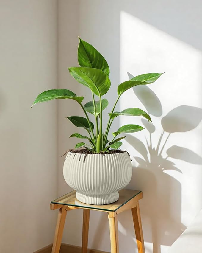 OXART 9.4 Inch Plant Pots, Ceramic Planters for Indoor Plants, Outdoor Flower Pots for Plants with Drainage Holes, Decorative Pot for Flowers & Herbs, No Trays, Yellow