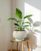 OXART 9.4 Inch Plant Pots, Ceramic Planters for Indoor Plants, Outdoor Flower Pots for Plants with Drainage Holes, Decorative Pot for Flowers & Herbs, No Trays, Yellow