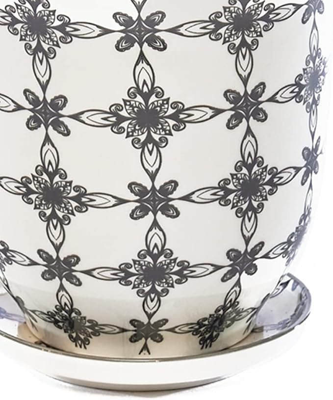 CHIVE ‘Liberte’ Ceramic Succulent Pots — 4.25” Cute Vintage Farmhouse Style Planters for Indoor Plants — Beautiful Home & Kitchen Decor — Black Stars