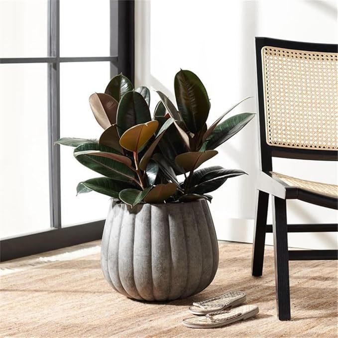 SAFAVIEH Outdoor Collection Kaston Grey Concrete Planter (Fully Assembled)