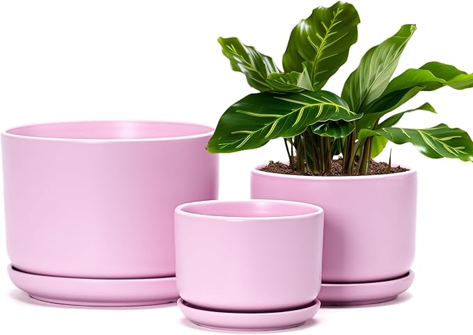 Ton Sin Plant Pots, 4.1+5.1+6.5 inch, Set of 3, Ceramic Planters with Drainage Hole and Saucer, Indoor Flower Pot with Drainage Hole, Gifts for Mom(Matte Pink)