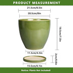 8 Inch Planter - Ceramic Plant Pot with Drainage Hole and Tray Round Planters Modern Flower Pot for Room Home Office Patio Porch Garden Decor Green