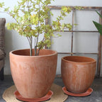 2 Pack of 8 inch Plant Saucer, Bird Bath Bowl 8 inch, Plant Dishes Saucer, Flower Plant Water Trays for Indoors, Plate for Planter 7-9" (8 inch, Terracotta)