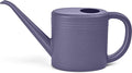 Watering Can for Garden Indoor Plants Outdoor Plant House Flower - 1/4 Gallon - Purple
