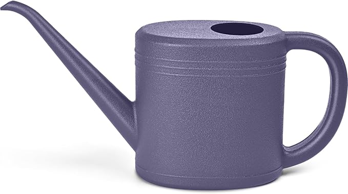 Watering Can for Garden Indoor Plants Outdoor Plant House Flower - 1/4 Gallon - Purple