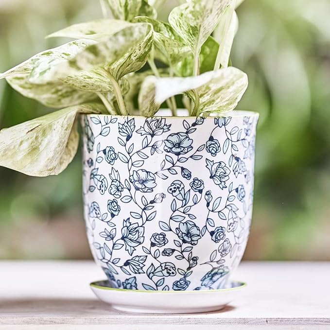 CHIVE ‘Liberte’ Ceramic Succulent Pots — 4.25” Cute Vintage Farmhouse Style Planters for Indoor Plants — Beautiful Home & Kitchen Decor — Green Flowers