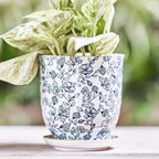 CHIVE ‘Liberte’ Ceramic Succulent Pots — 4.25” Cute Vintage Farmhouse Style Planters for Indoor Plants — Beautiful Home & Kitchen Decor — Green Flowers